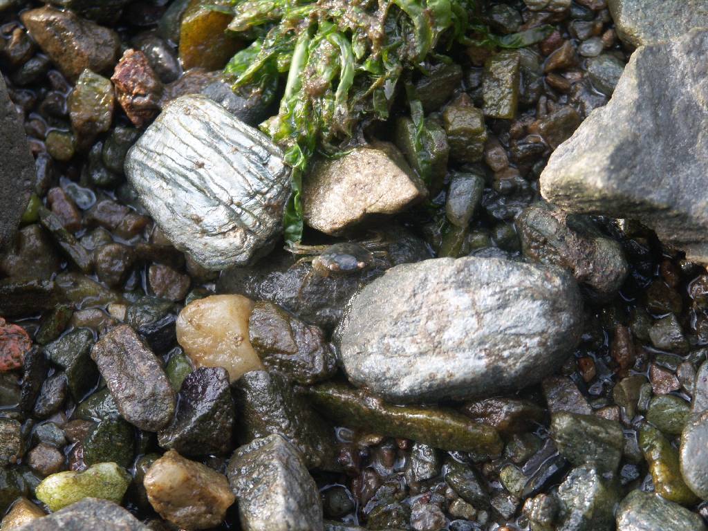 Dal�� sn�mek